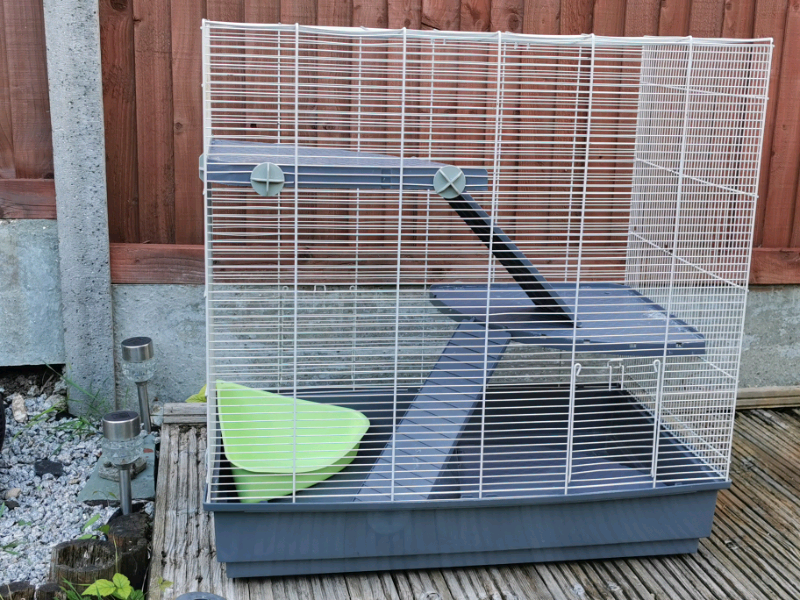 gumtree rat cage